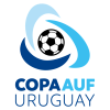 Coupe d'Uruguay