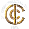 Coupe intercontinentale de la FIFA