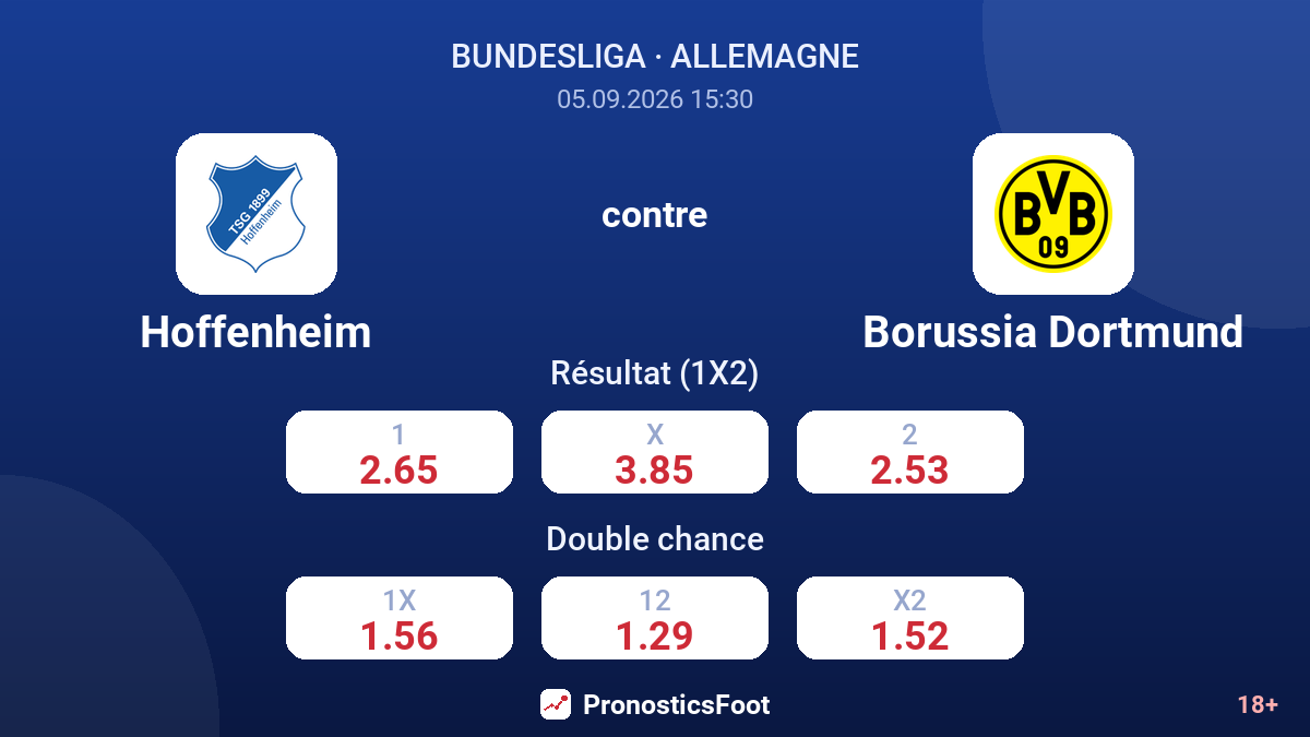 Hoffenheim - Borussia Dortmund — cotes