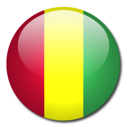 Guinée U20 logo